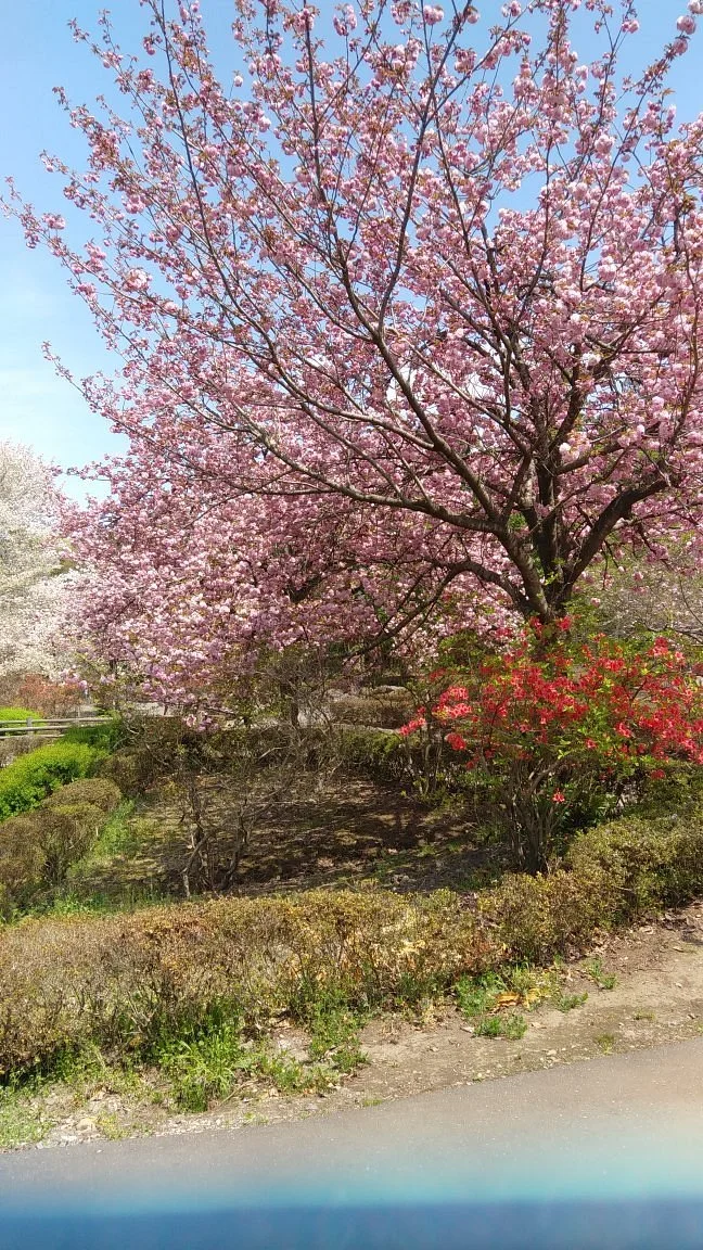 Tenpyo no oka Park