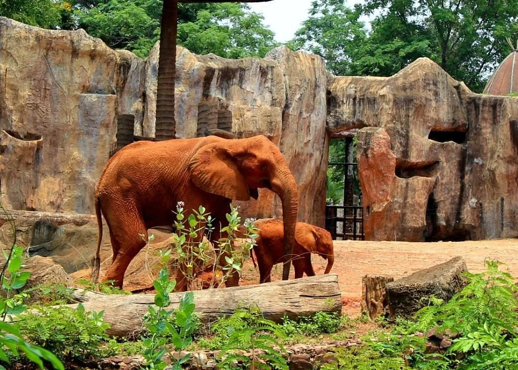 Nakhon Ratchasima Zoo