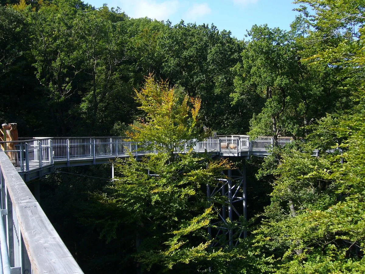 Baumwipfelpfad Bad Harzburg