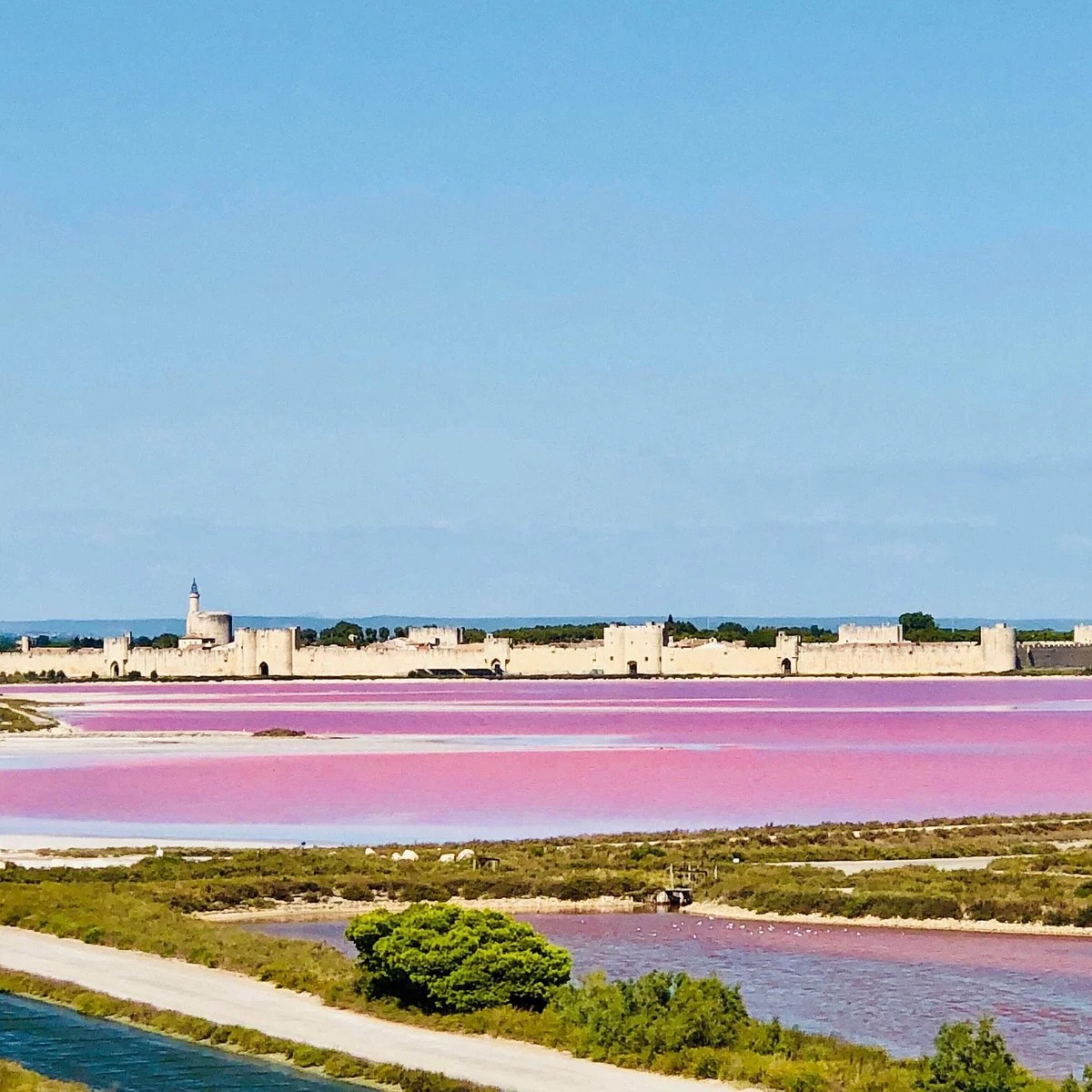 Salin d'Aigues-Mortes