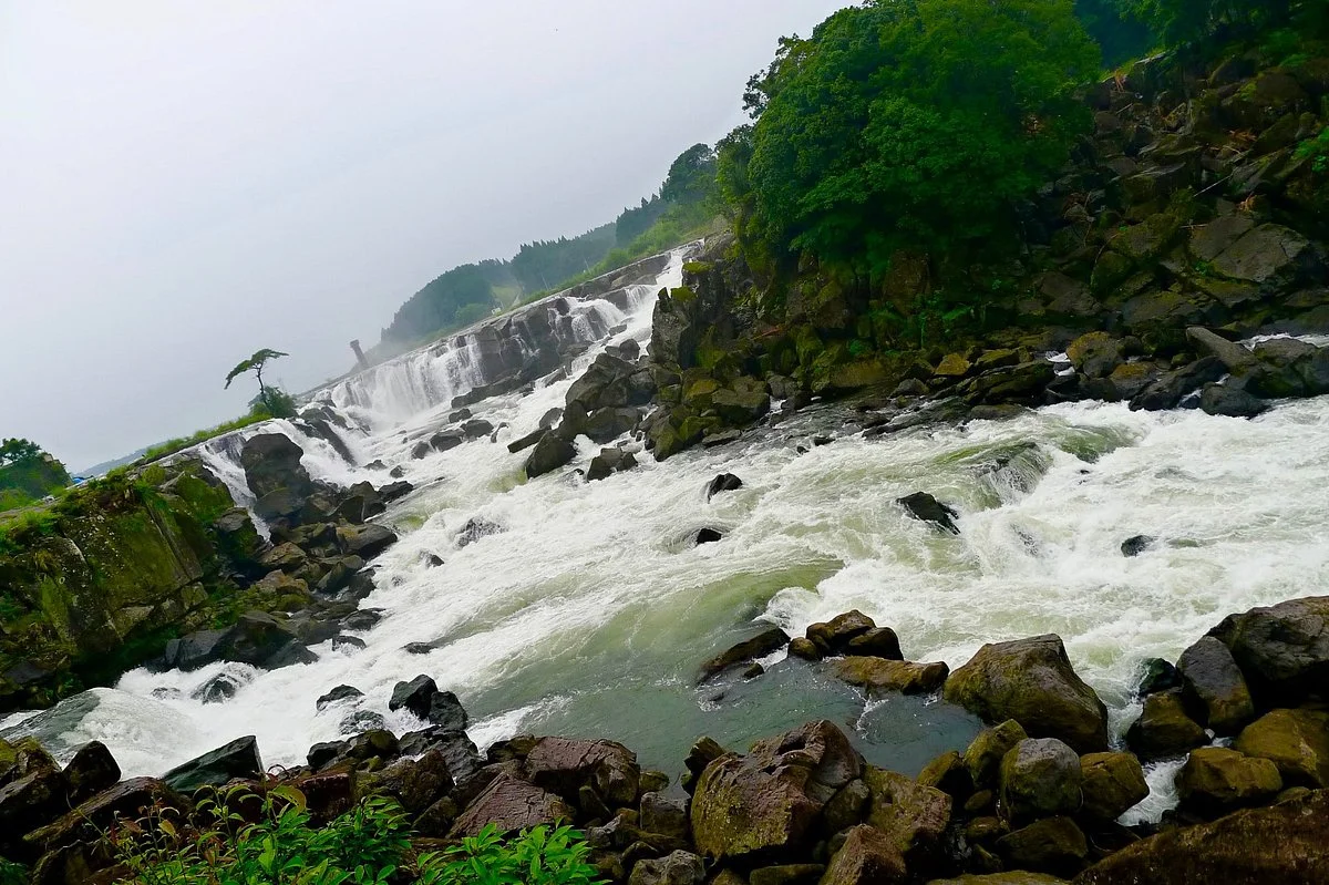 Sogi Fall