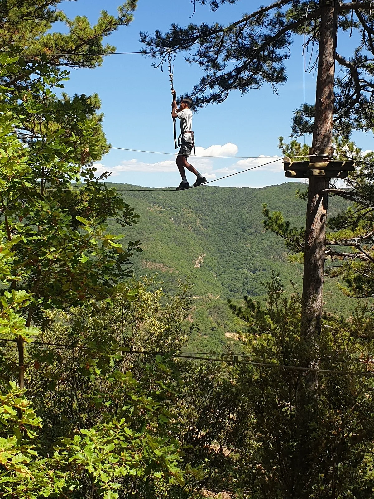 Les Barons Perches