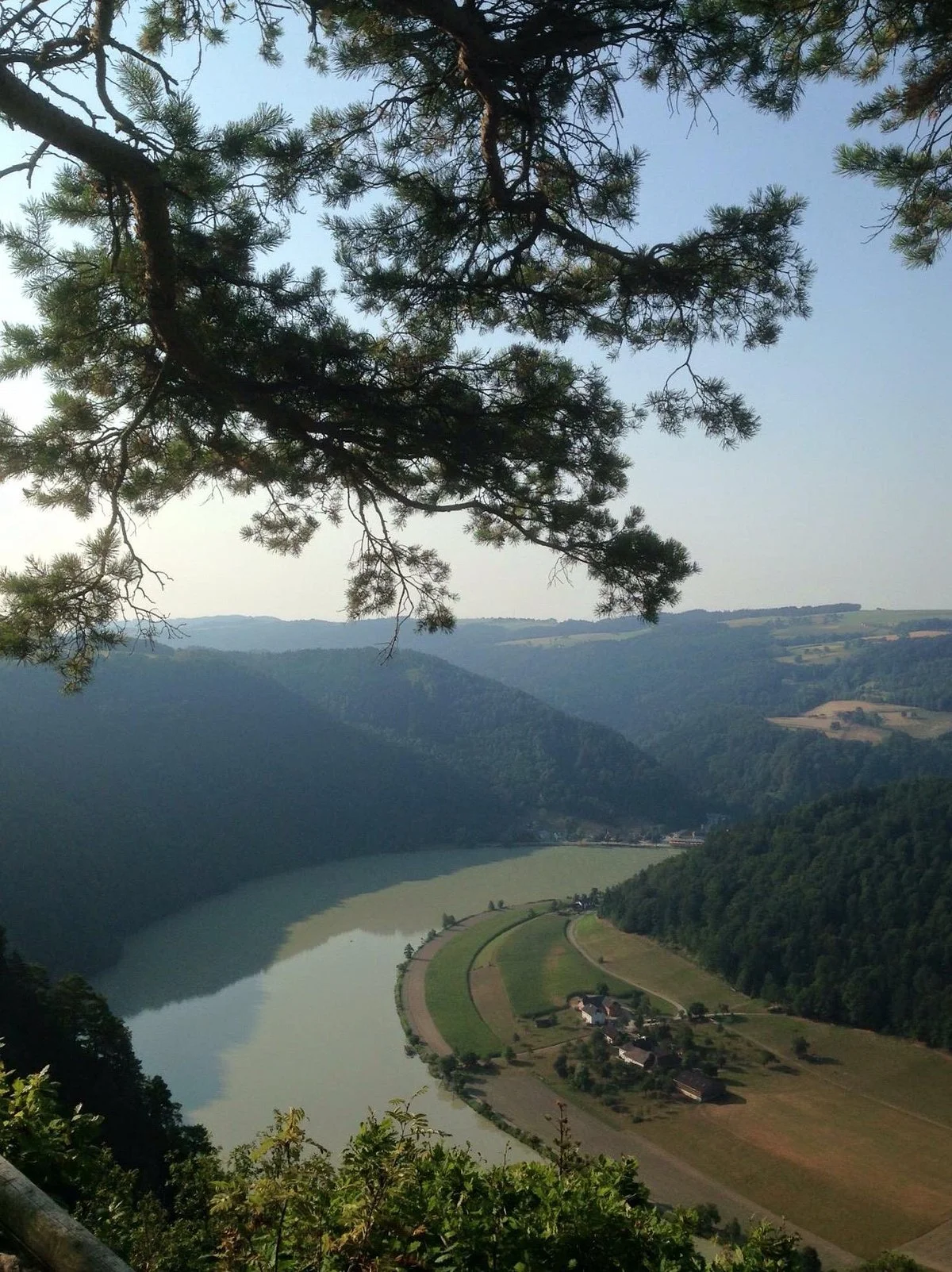 Schloegener Schlinge
