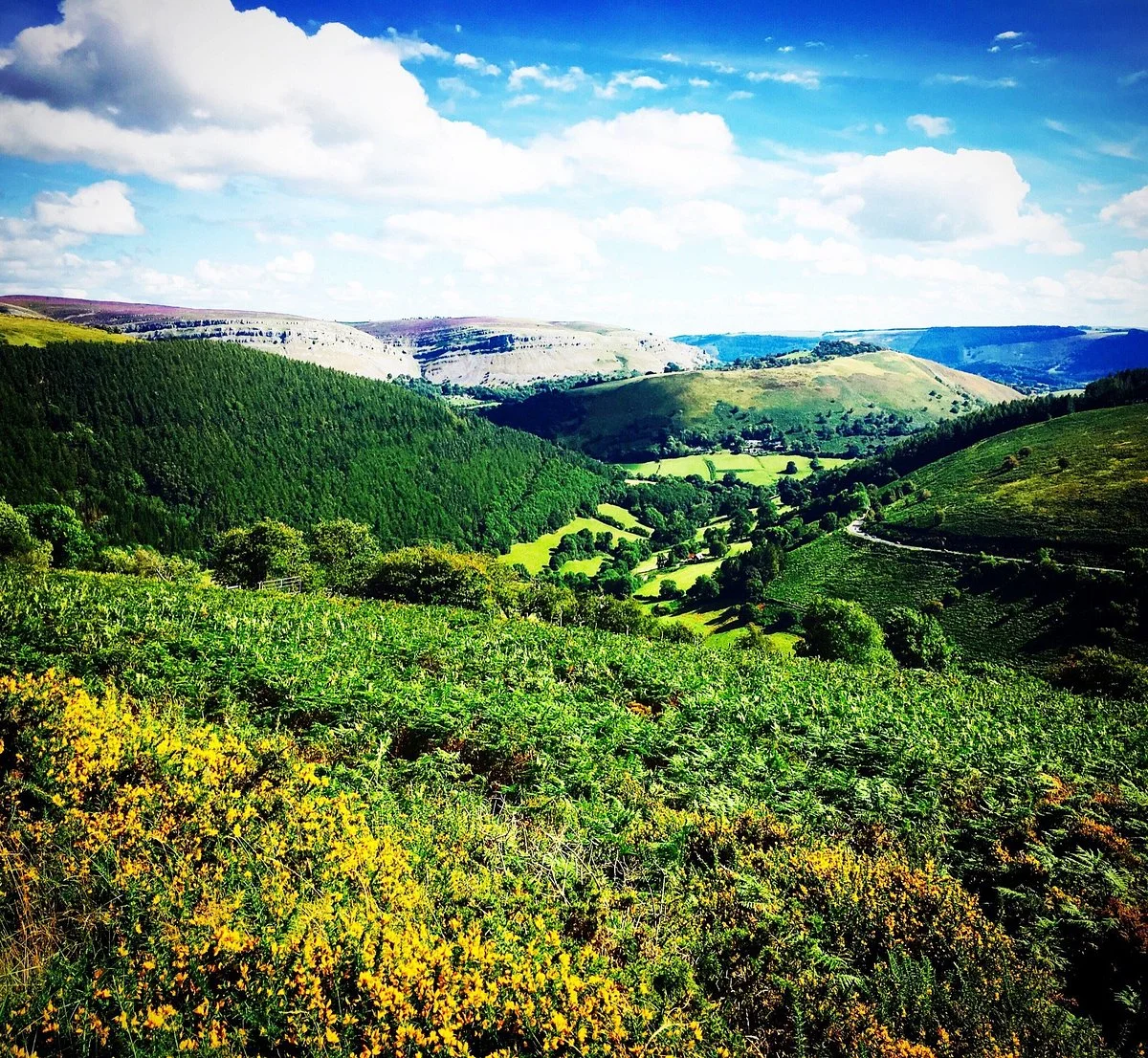 Horseshoe Pass