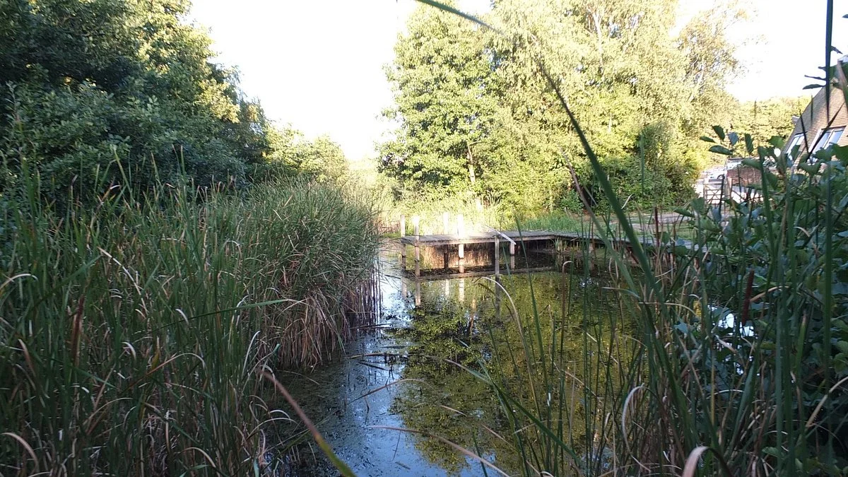 Shorne Woods Country Park