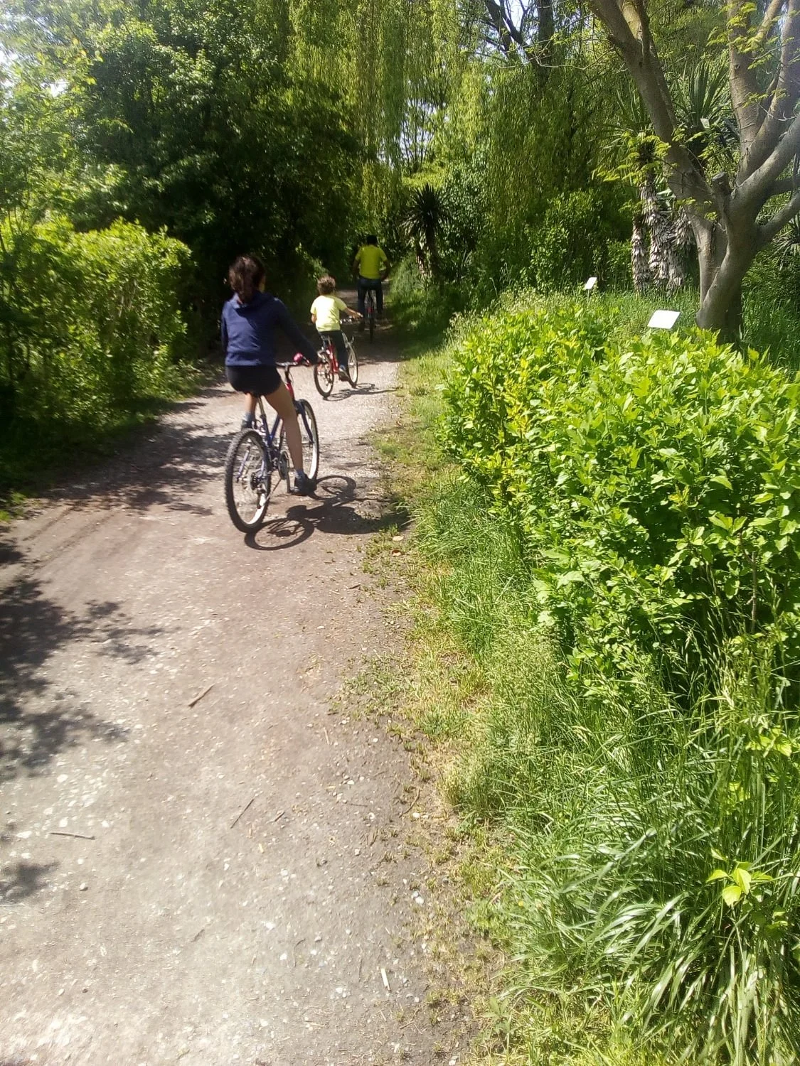 Ciclabile Rio Freidano