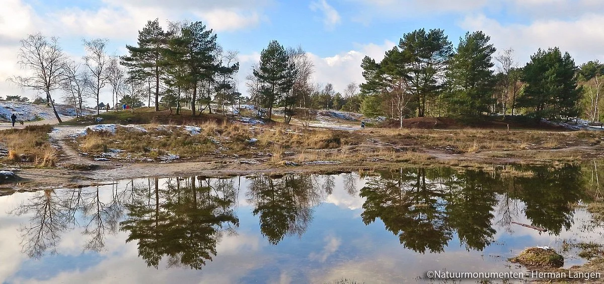 Brunssummerheide
