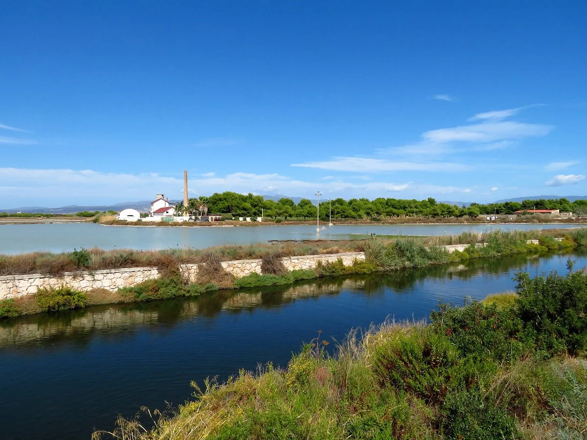 Parco Naturale Molentargius-Saline