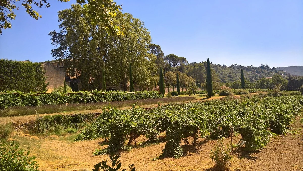 Chateau la Canorgue