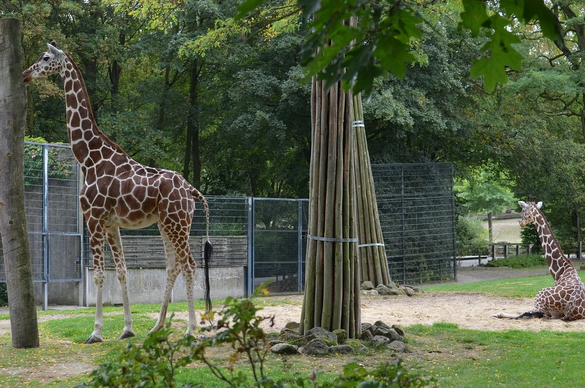Allwetterzoo Munster