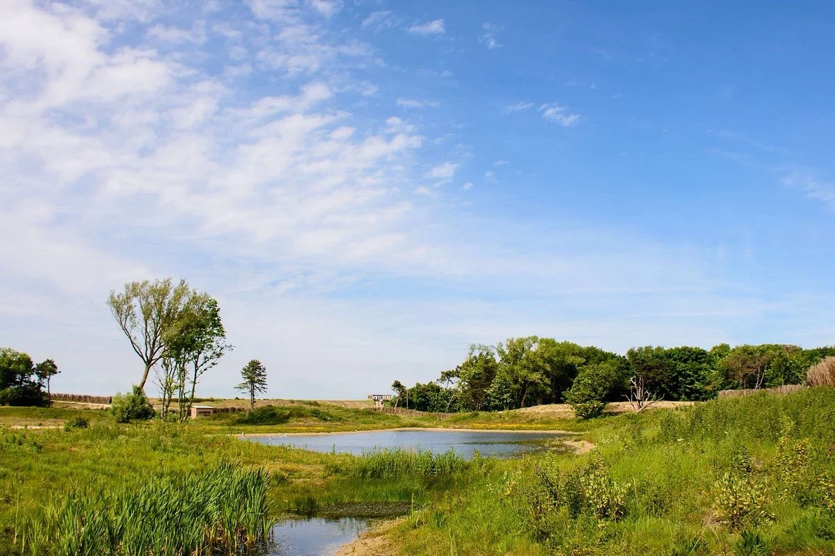 Het Zwin Natuur Park