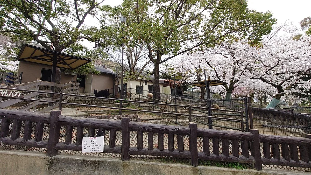 Satsukiyama Zoo