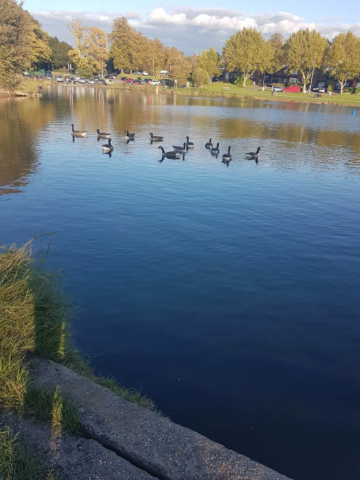 Nantwich Lake