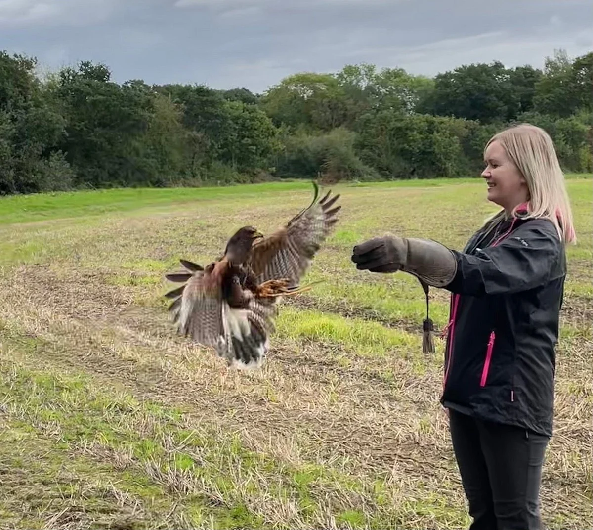 Battlefield Falconry Centre