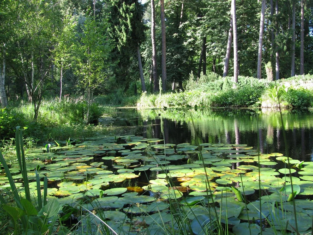 Lesne Arboretum Warmii i Mazur