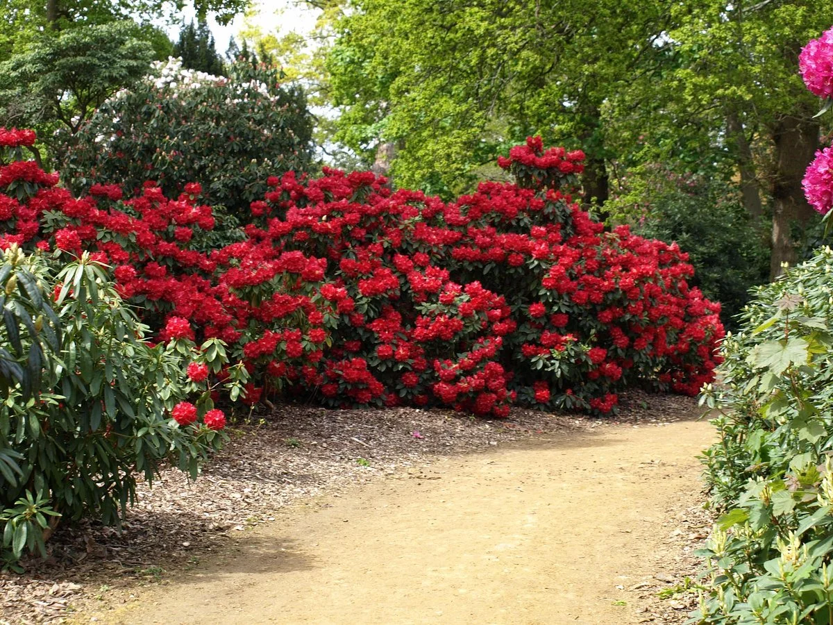 Langley Country Park
