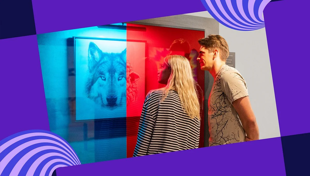Vilnil. Museum of illusions