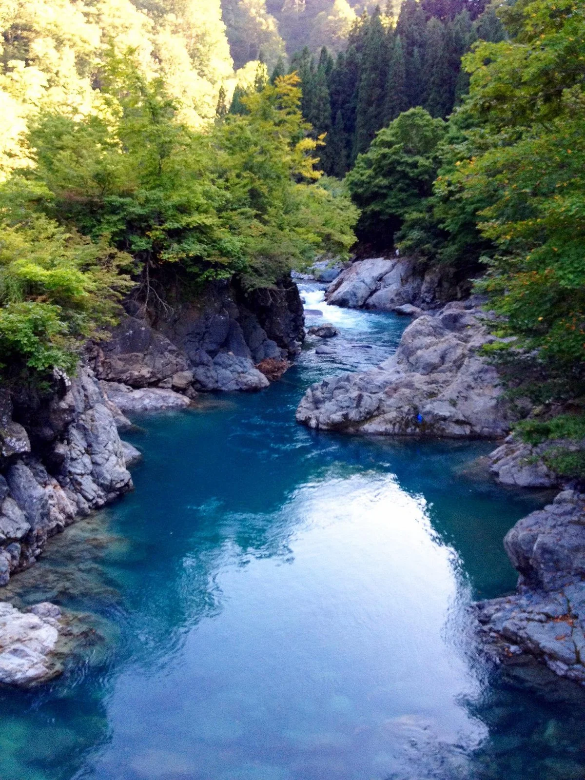 Akiyamago