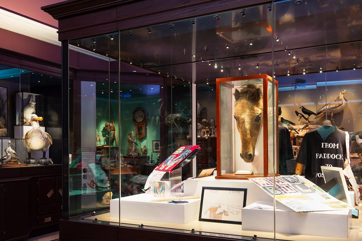 Warrington Museum & Art Gallery