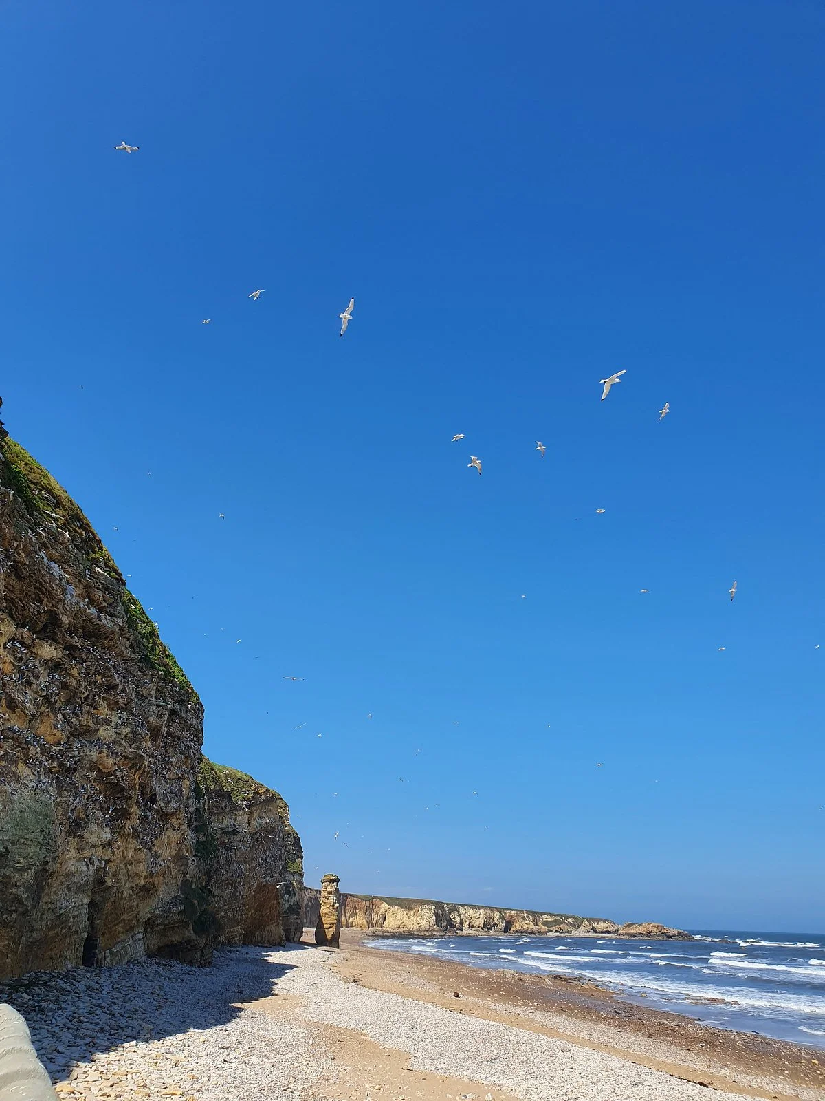 Marsden Beach