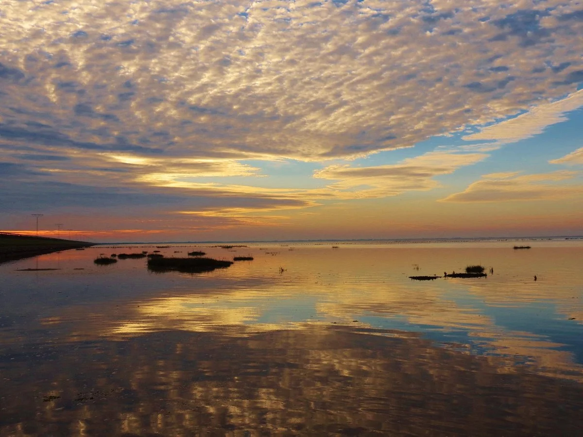 Wadden Sea National Park and World Heritage Site