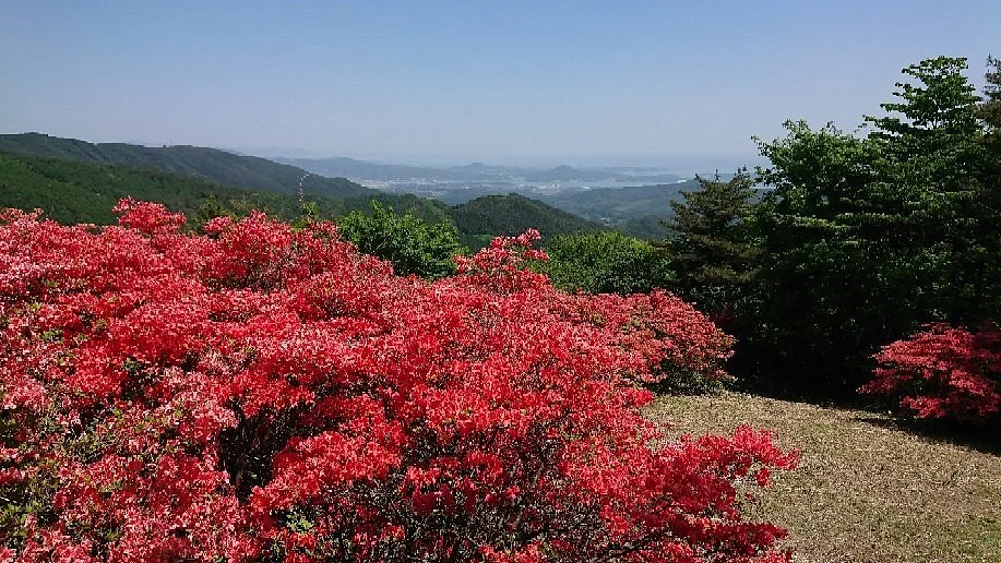 Mt. Tokusenjo