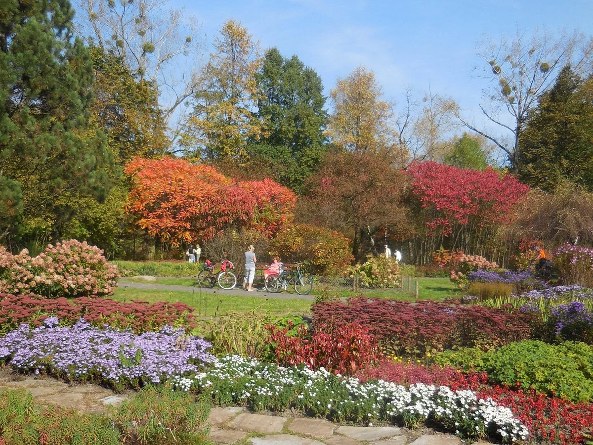 Silesia Park