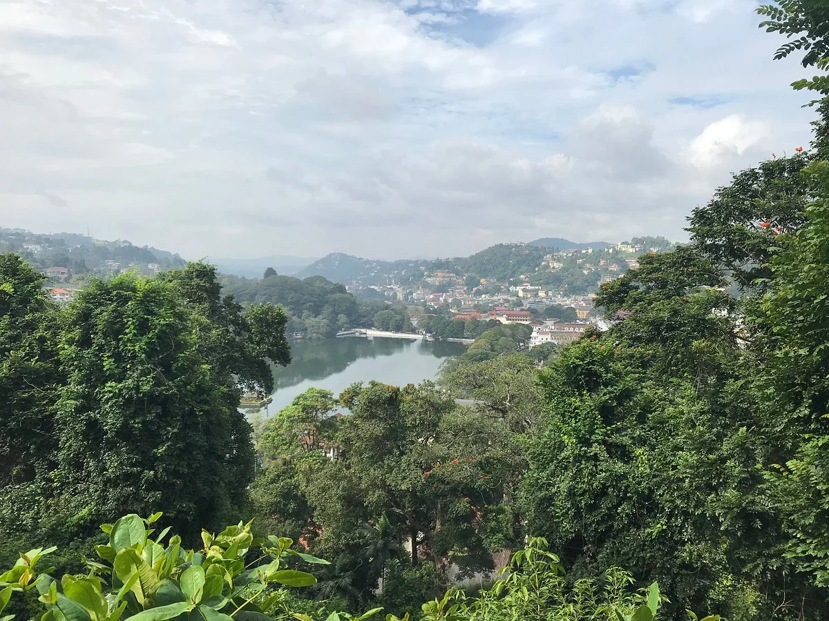 Udawattekele Sanctuary