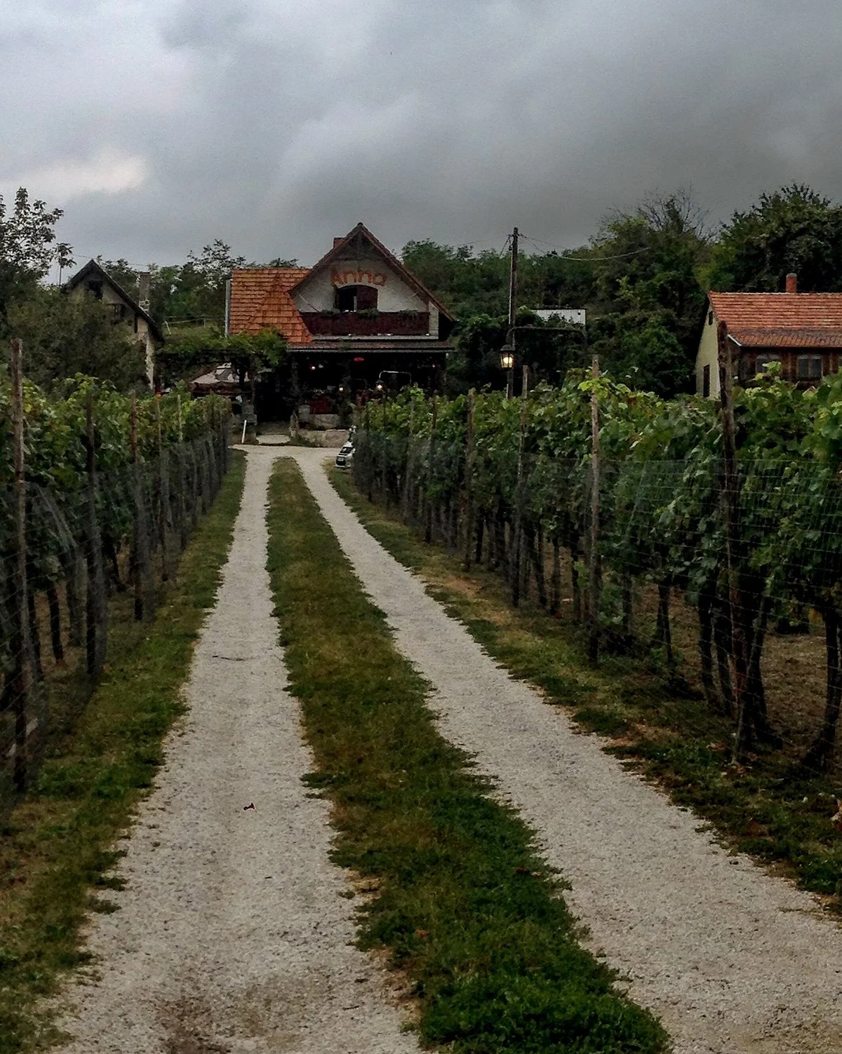 Egregy Cellars