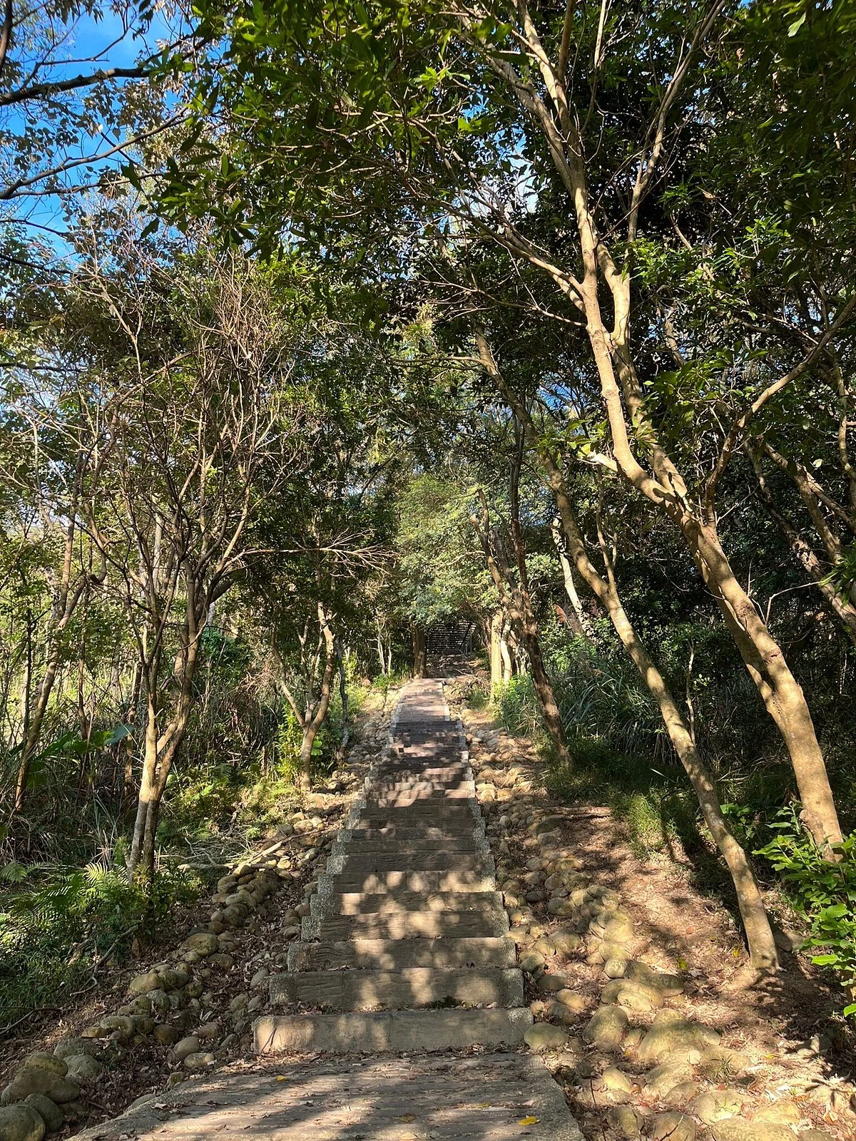 Scholar Climbing Trail
