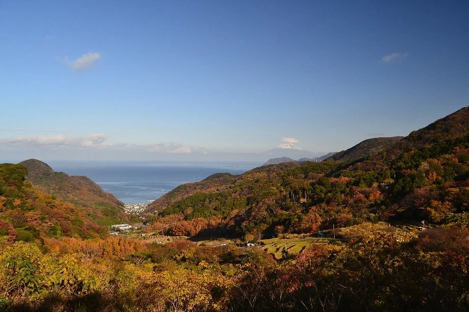 Terraced Paddies in Ishibe