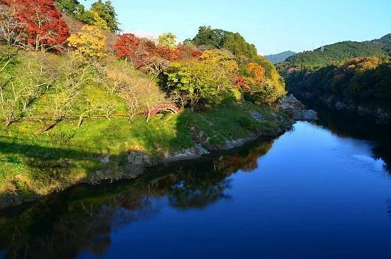 Sakurabuchi Park