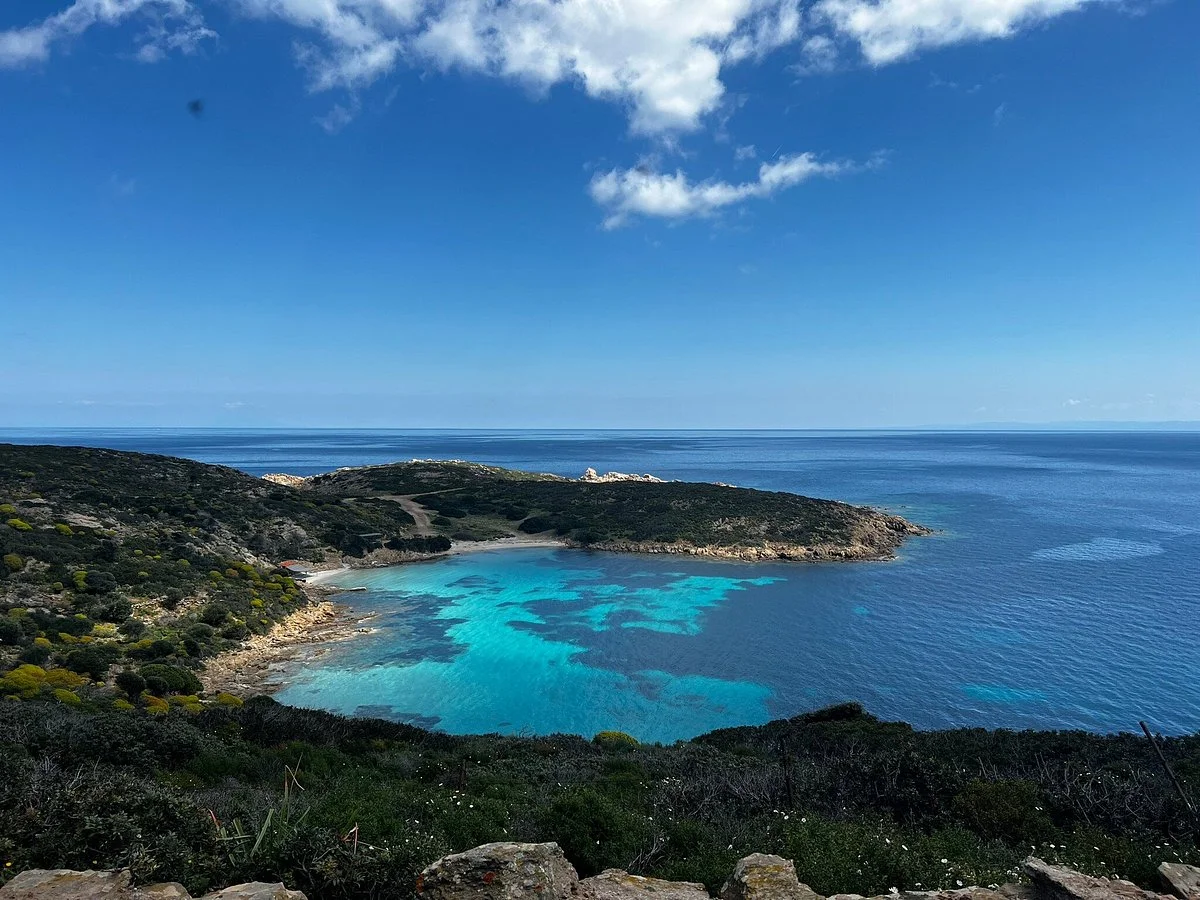 Wild Asinara Park