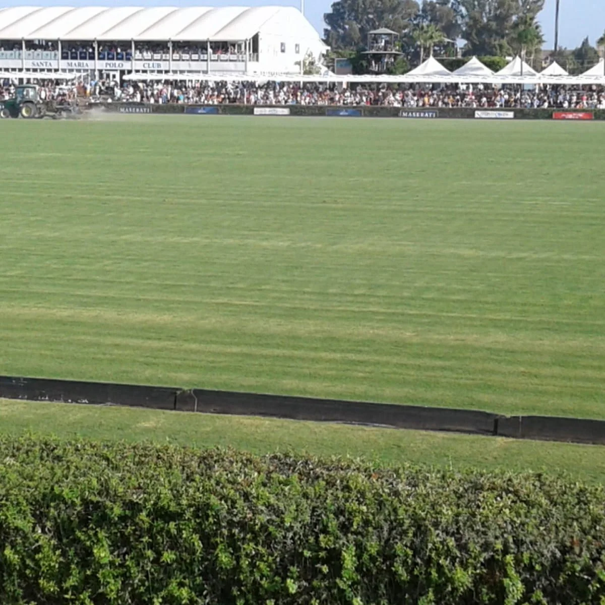 Polo Santa Maria