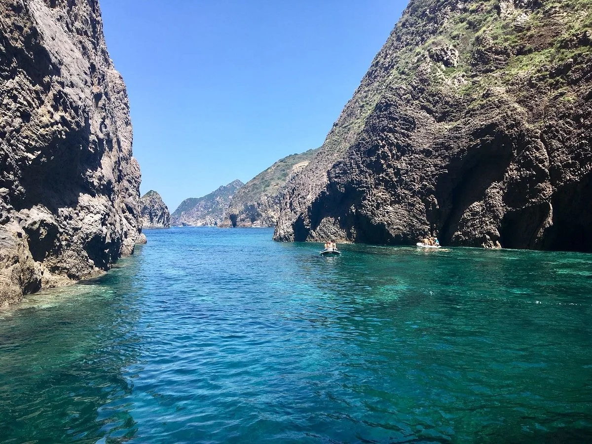 Palmarola