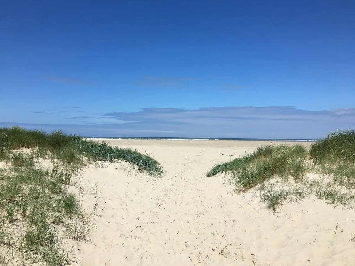 Dune de l'Authie