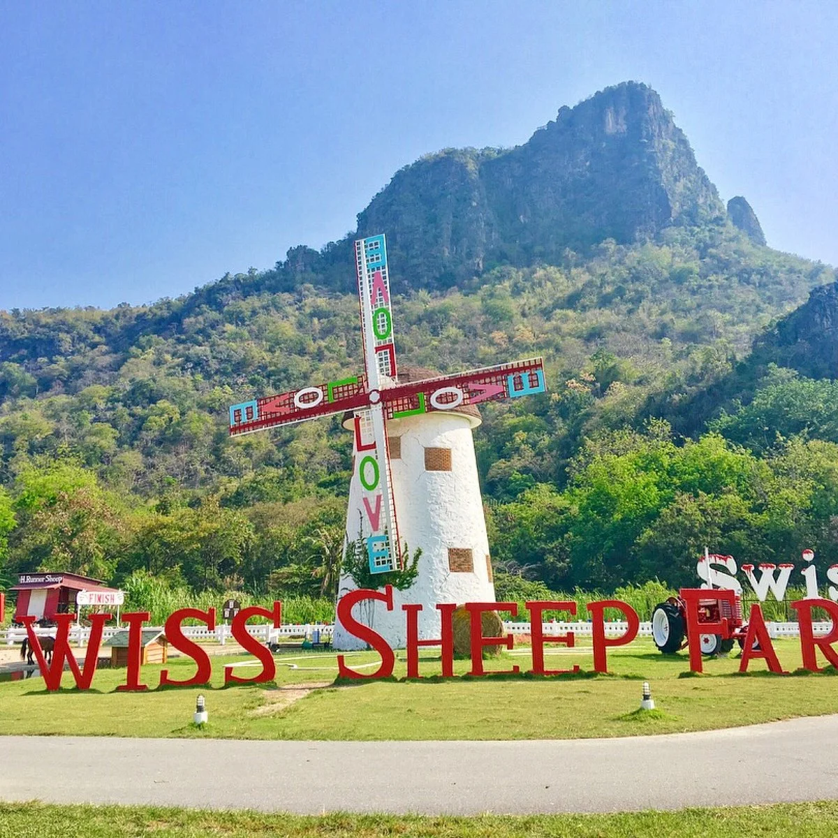 Swiss Sheep Farm