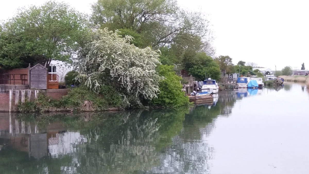 Hull River
