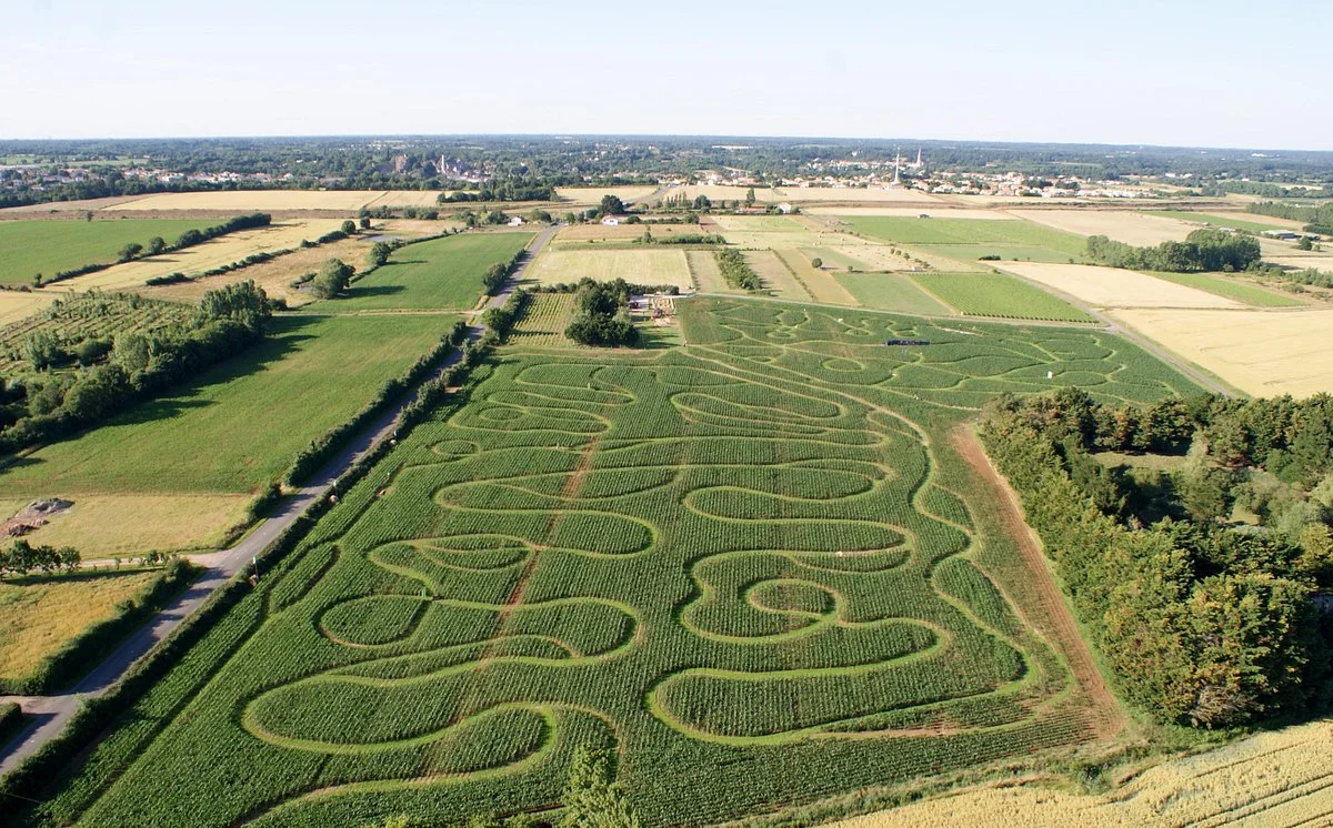 Labyrinthe En Delire