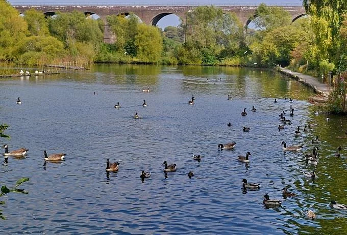 Reddish Vale Farm