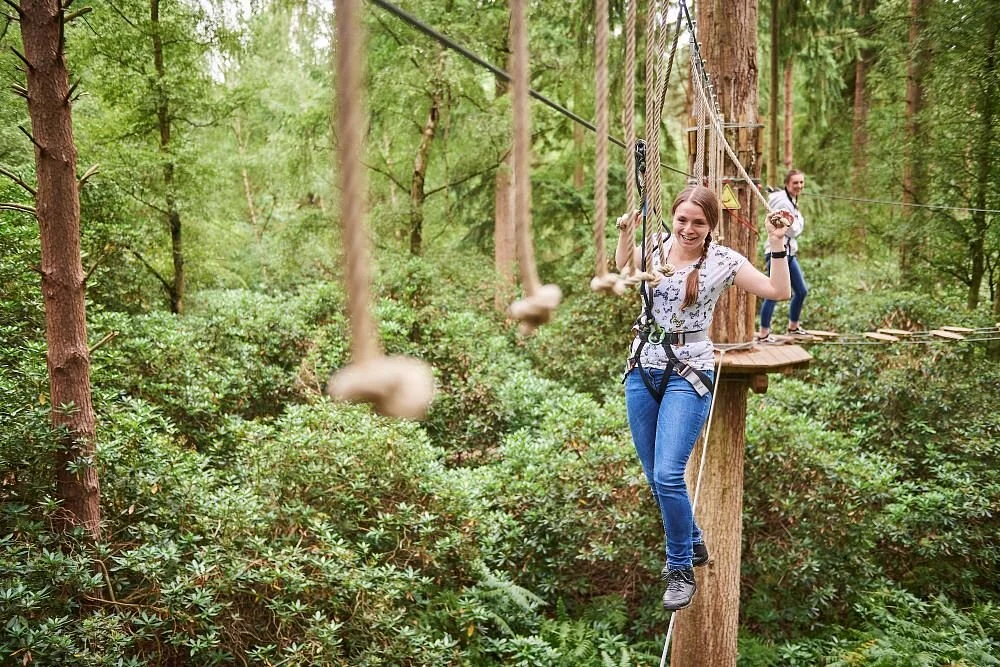 Go Ape Wyre