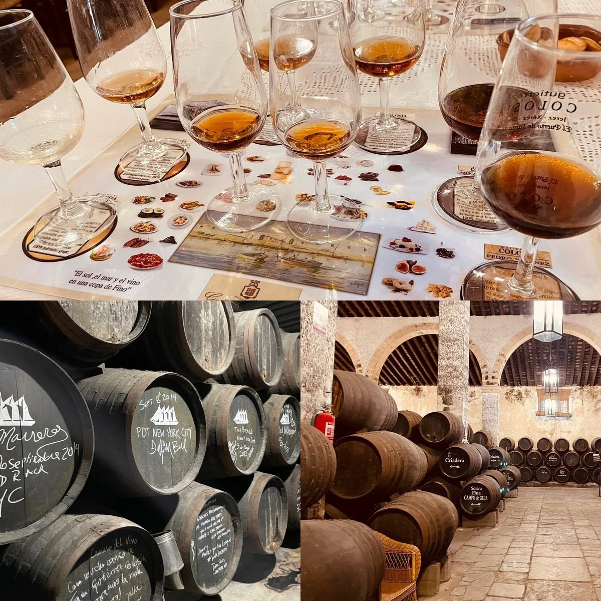 Bodegas Gutierrez Colosia