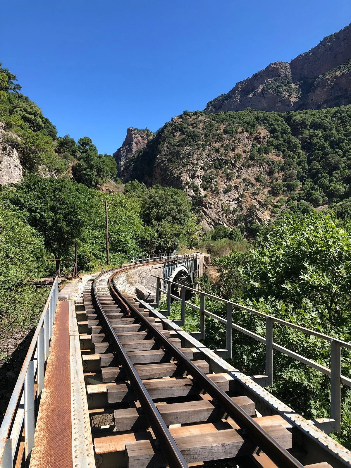 Odontotos Rack Railway