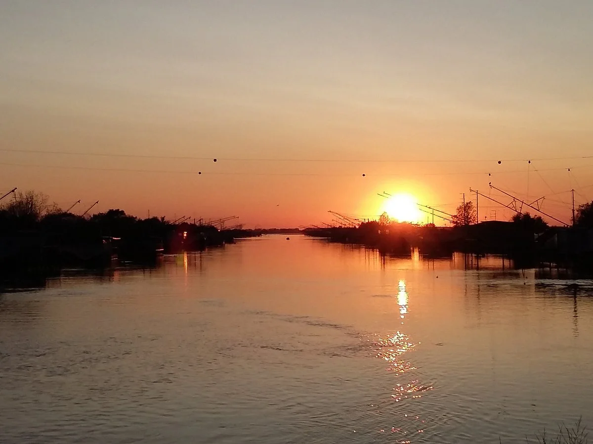 Parco Delta Del Po