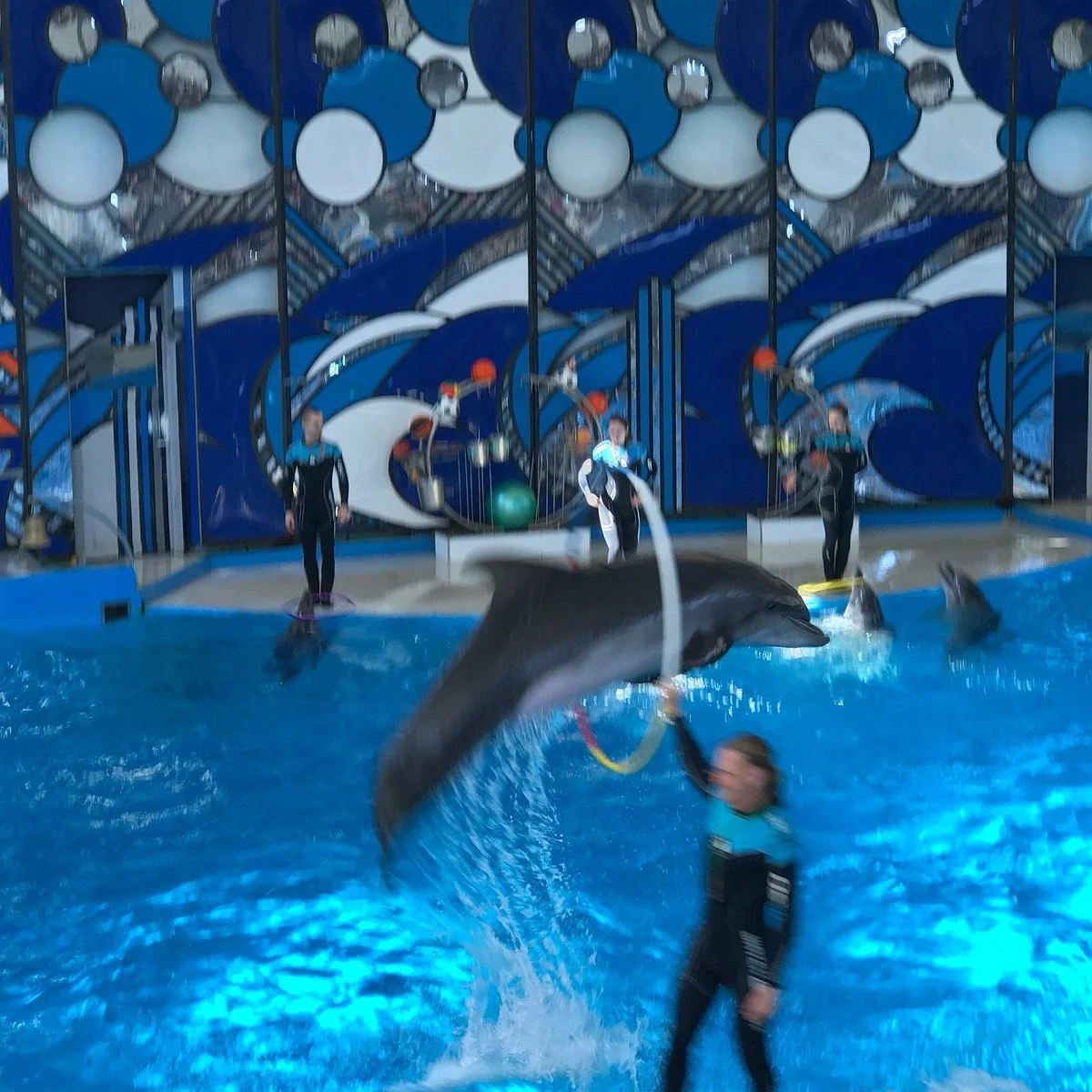 Riviera Dolphinarium