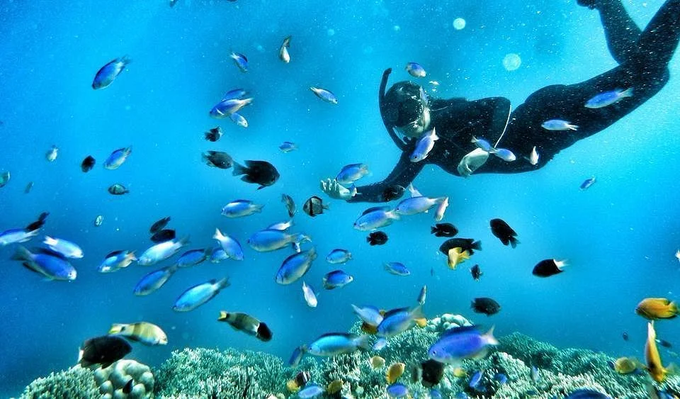 Pescador Island