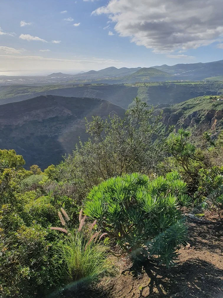 Caldera de Bandama