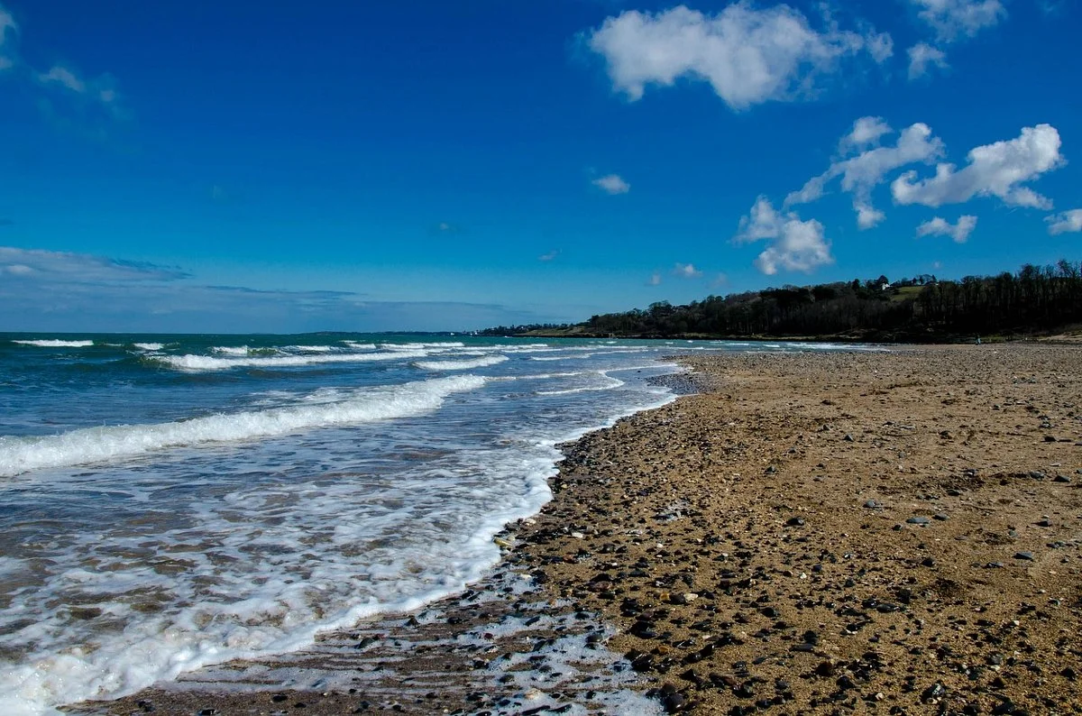 Crawfordsburn Country Park