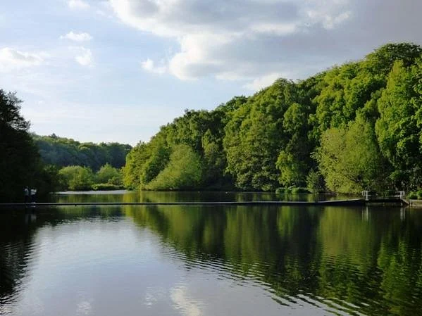 Newmillerdam Country Park