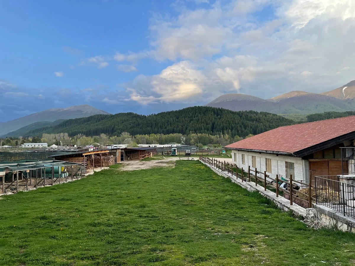La Fattoria degli Animali